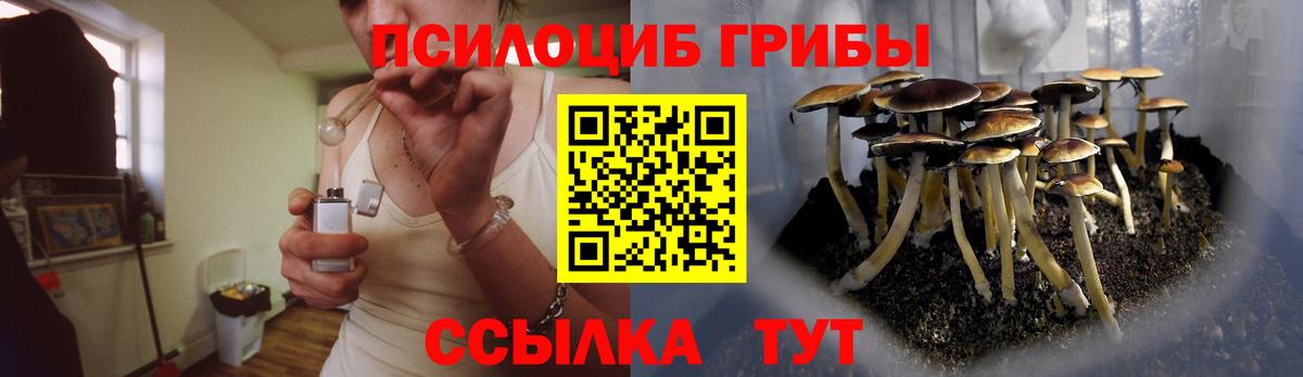 Бийск  Псилоцибиновые грибы GOLDEN TEACHER  Вход с VPN 